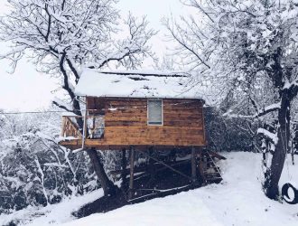 Căsuța din Copac de închiriat pe Airbnb